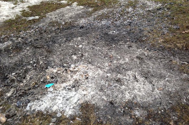 Пепел от сожженных документов на территории Межигорья
