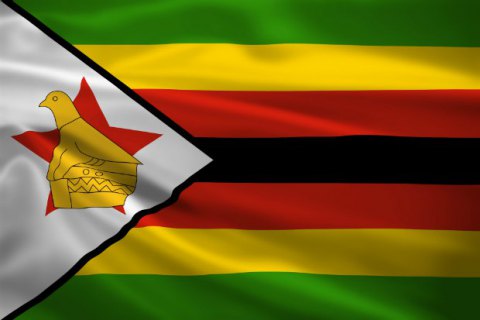 Зимбабве будет выпускать свой эквивалент американского доллара
