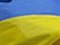 На Украину пожаловались в Энергетическое сообщество