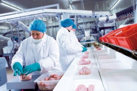 У Польщі семеро поляків напали на українців і влаштували бійку з погромом