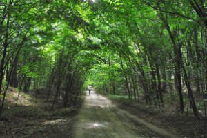 В поисках КРЫМозаменителя. Трахтемиров