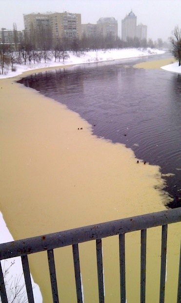 Вода на Русановском канале почему-то оказалась выкрашена в желтый цвет