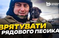 Волонтери розповіли, як відбувається евакуація домашніх улюбленців з-під Куп’янська