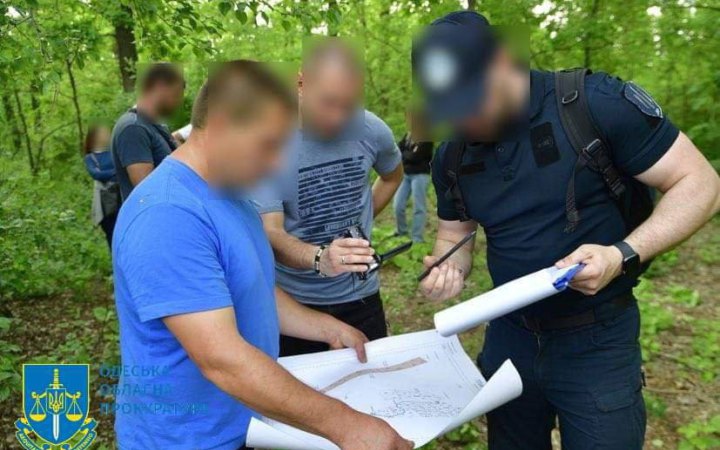 На Одещині посадовця лісового господарства підозрюють у незаконній порубці лісу Національного парку на 79 млн грн