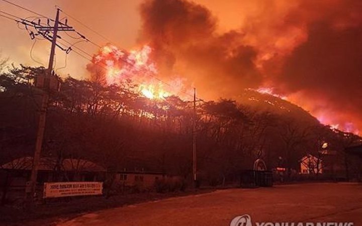 Унаслідок масштабних лісових пожеж у Південний Кореї загинули 24 людини