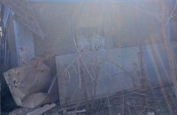 Російські окупанти атакували Золоту Балку на Херсонщині, є поранена