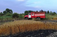 На Черниговщине сгорели 55 га пшеничного поля