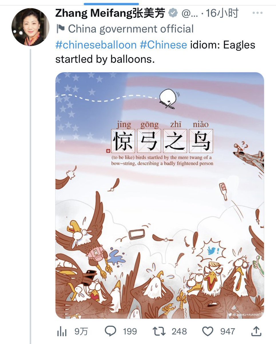 Китайська ідіома «Перелякані птахи». Карикатуру в твіттері поширила генеральний консул КНР у Белфасті Чжан Мейфан, підписавши: «Налякані повітряними кулями орли».
