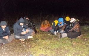 На Закарпатье возле границы задержаны 17 нелегалов