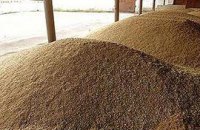 Введение квот полностью остановило экспорт зерна