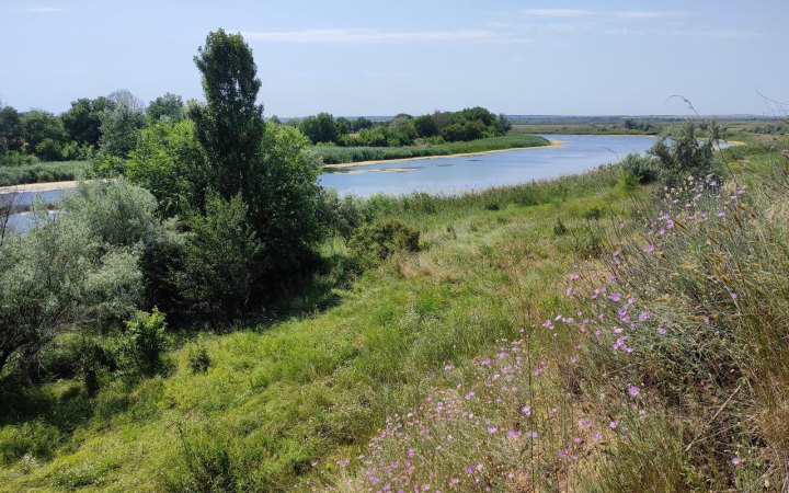 Державі повернули 28 га лісу заказника з рідкісними рослинами на Дніпропетровщині 