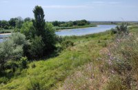 Державі повернули 28 га лісу заказника з рідкісними рослинами на Дніпропетровщині 