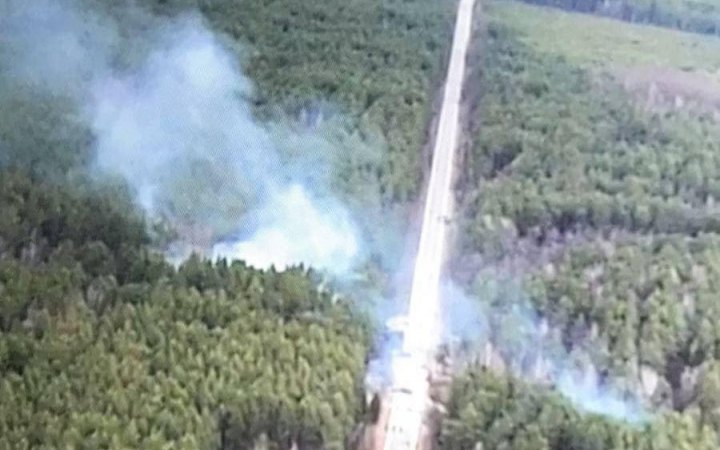 ЗСУ показали фото "загублених" у лісах Чернігівщини ворожих "тигрів", танка і вантажівок