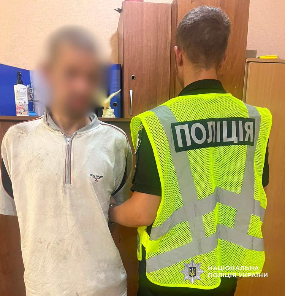 Чоловік визнав провину