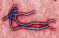 В Либерии ввели чрезвычайное положение из-за лихорадки Эбола
