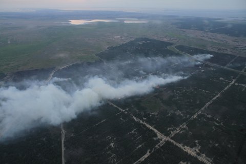 Лісову пожежу в Херсонській області локалізовано