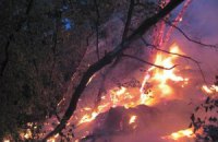 В Киеве горели склоны Днепра