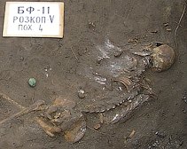 Днепропетровские археологи нашли скелет человека, умершего от легочной чумы