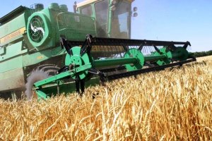 Украина готовится к завершению сбора ранеего урожая