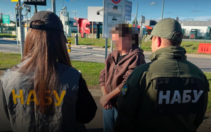 До України екстрадували фігурантку справи щодо продажу за безцінь землі на Закарпатті