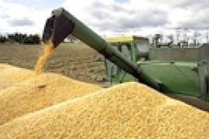 Украина вошла в тройку мировых экспортеров зерна