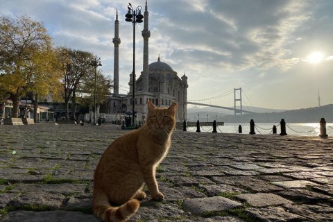 Особливості подорожі до Туреччини під час пандемії