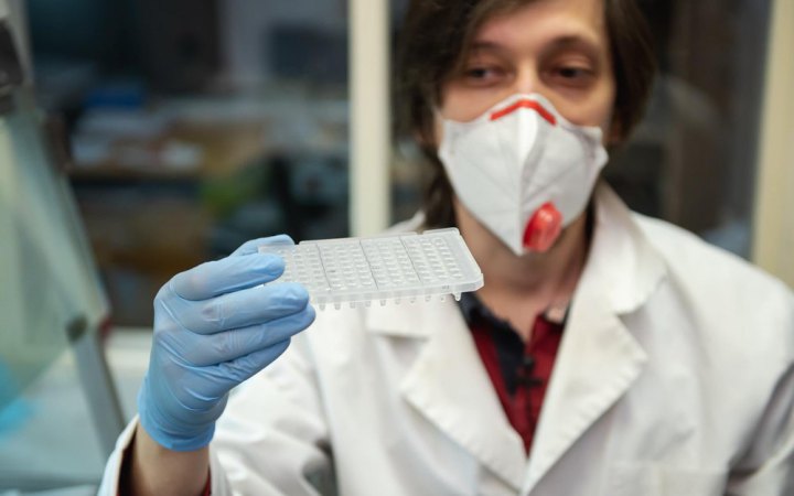 Обрізати і поливати. Як це реформувати кафедру в університеті, який реформується 