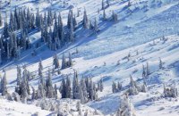 8 діб блукали у Карпатах: прикордонники врятували двох ухилянтів 