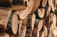 Закон о запрете на вывоз леса из Украины не соответствует ЗСТ с ЕС, - евродепутат