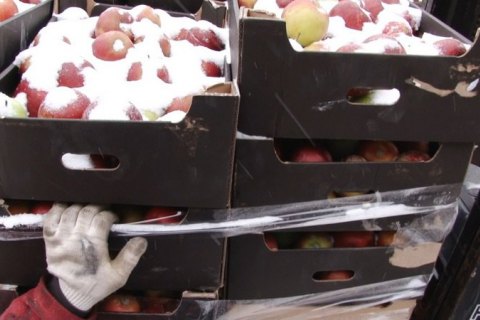 У Росії знищили 60 тонн польських яблук