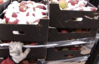 У Росії знищили 60 тонн польських яблук