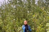 Вербові велетні. Друга весна на дні Каховського водосховища