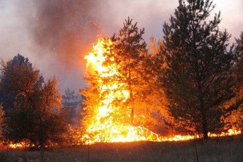 На Луганщині ліквідовано 116 зі 146 осередків пожеж (оновлено)