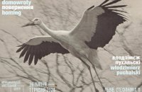 «Я втік дивитися на пташині хвости»: виставка «Повернення» Влодзімєжа Пухальскі