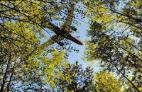 Ради новой полосы аэропорта Шереметьево исчезнут две деревни и более 200 га леса