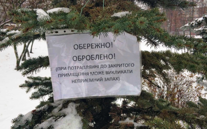 У Києві хвойні дерева почали обробляти репелентами