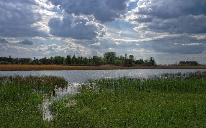 На Черкащині громаді повернули землі заказника “Пташині острови”, які незаконно здавали в оренду