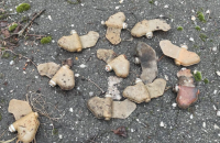 У Херсоні комунальник травмувався, наступивши на міну-"пелюстку"