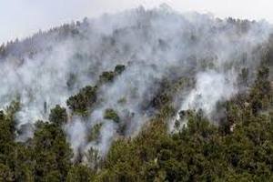 Лесные пожары на Ибице привели к эвакуации тысячи жителей