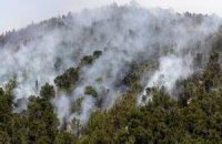 Лесные пожары на Ибице привели к эвакуации тысячи жителей