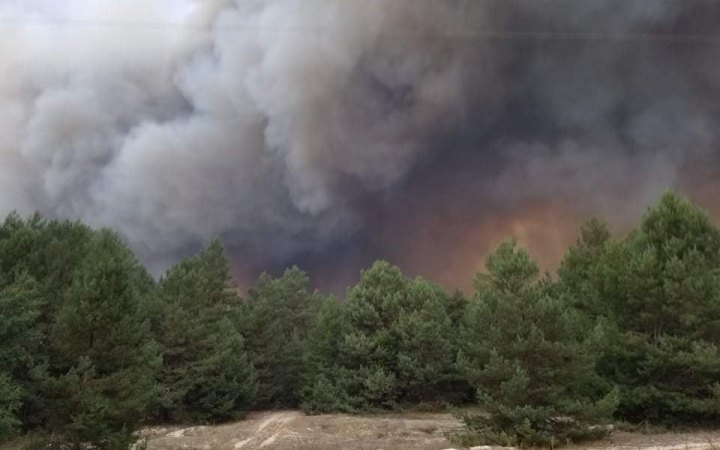 Cередня площа лісової пожежі в Україні зросла в 7 разів