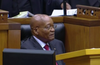 В ЮАР депутаты подрались во время выступления президента