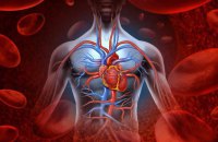 Кальцій: союзник кісток і ворог серця?