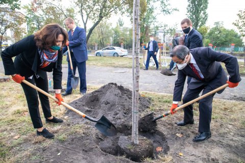 В Днепровском районе Киева появилась самая длинная аллея сакур в Украине