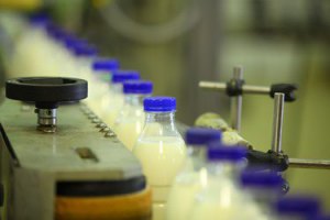 В Кабмине думают ограничить поставки "молочки" из Беларуси