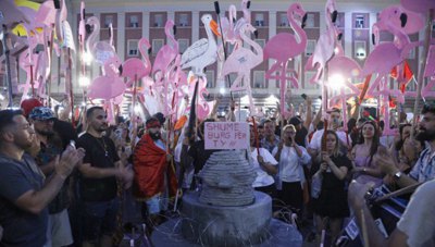 Революція фламінго в Албанії: у Тирані тривають протести проти забудови заповідних зон і корупції 