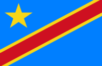 14 человек погибли при давке на музыкальном фестивале в ДР Конго