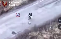 На Харківщині росіяни вбили дронами двох цивільних з собакою, які рухалися дорогою під білим прапором (доповнено)