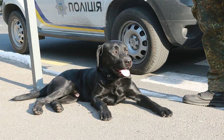 У Києві через підозрілий предмет закривали станцію метро "Либідська" (оновлено, додано фото)