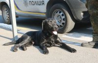 У Києві через підозрілий предмет закривали станцію метро "Либідська" (оновлено, додано фото)